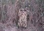 Маскировочный костюм Taganrog Егерь