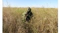 Маскировочный халат Taganrog Кикимора – купить по цене 3550 руб. в интернет-магазине в городе Курган картинка 13